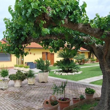 Le Terre Di Bac Acomodação com café da manhã Borgo Montenero Exterior foto